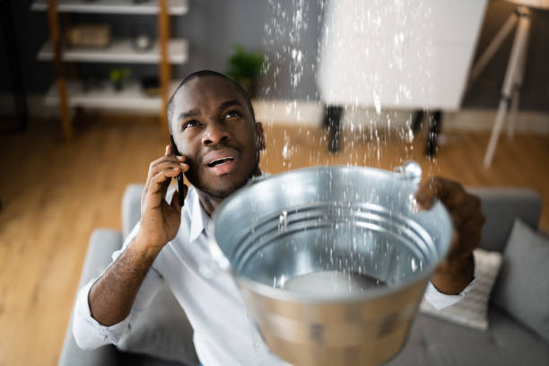 Best Carpet water damage restoration  in Ebensburg, PA