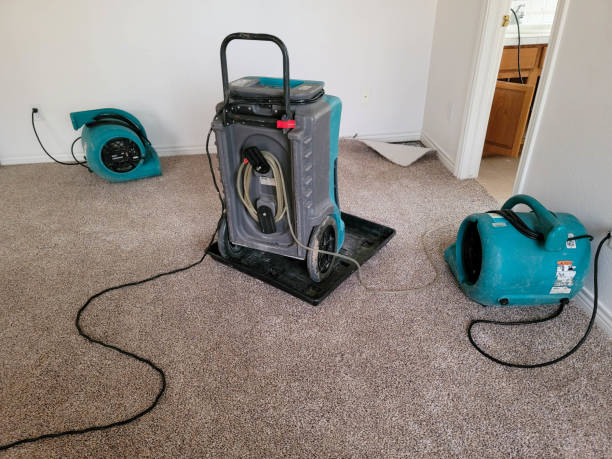 Best Water damage restoration services  in Ebensburg, PA