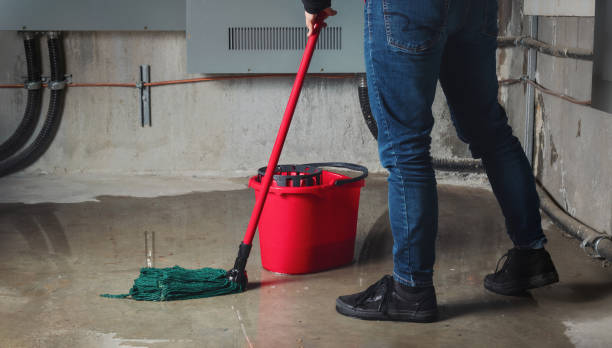 Best Basement water damage restoration  in Ebensburg, PA