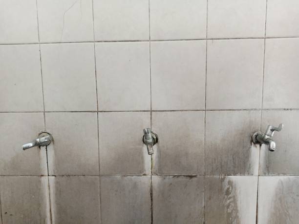 Best Professional water damage repair  in Ebensburg, PA
