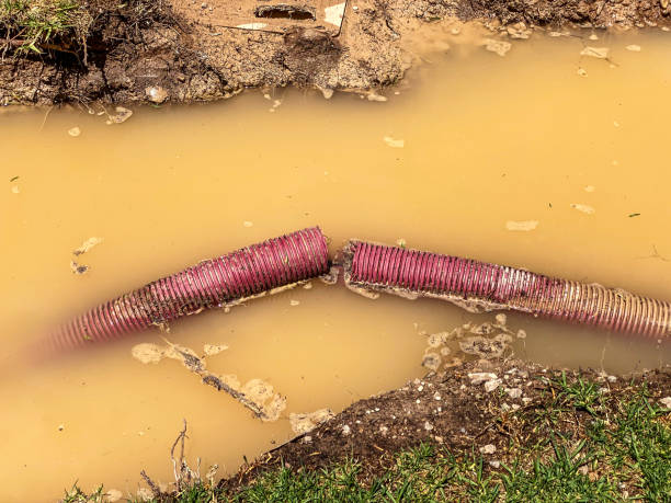 Best Flood restoration services  in Ebensburg, PA